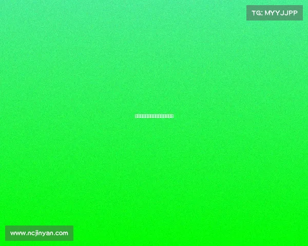 自由搏击赛事秩序册自由搏击赛制